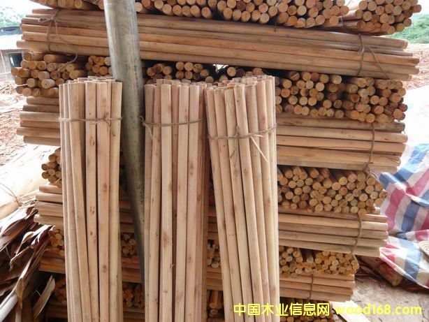 ��ľľ�ĵ�Ԕ��(x��)��B