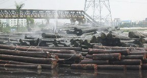 ԭľ��ľ����Ԕ����B