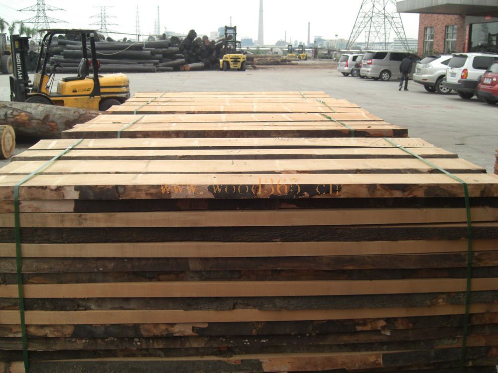 5CM��W�ΰ��Ԕ����B