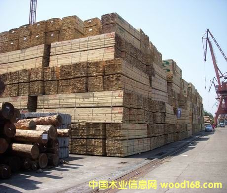 ���ɽ���ľ����Ԕ����B