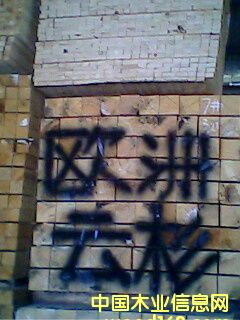 �W����ɼ��Ԕ��(x��)��B