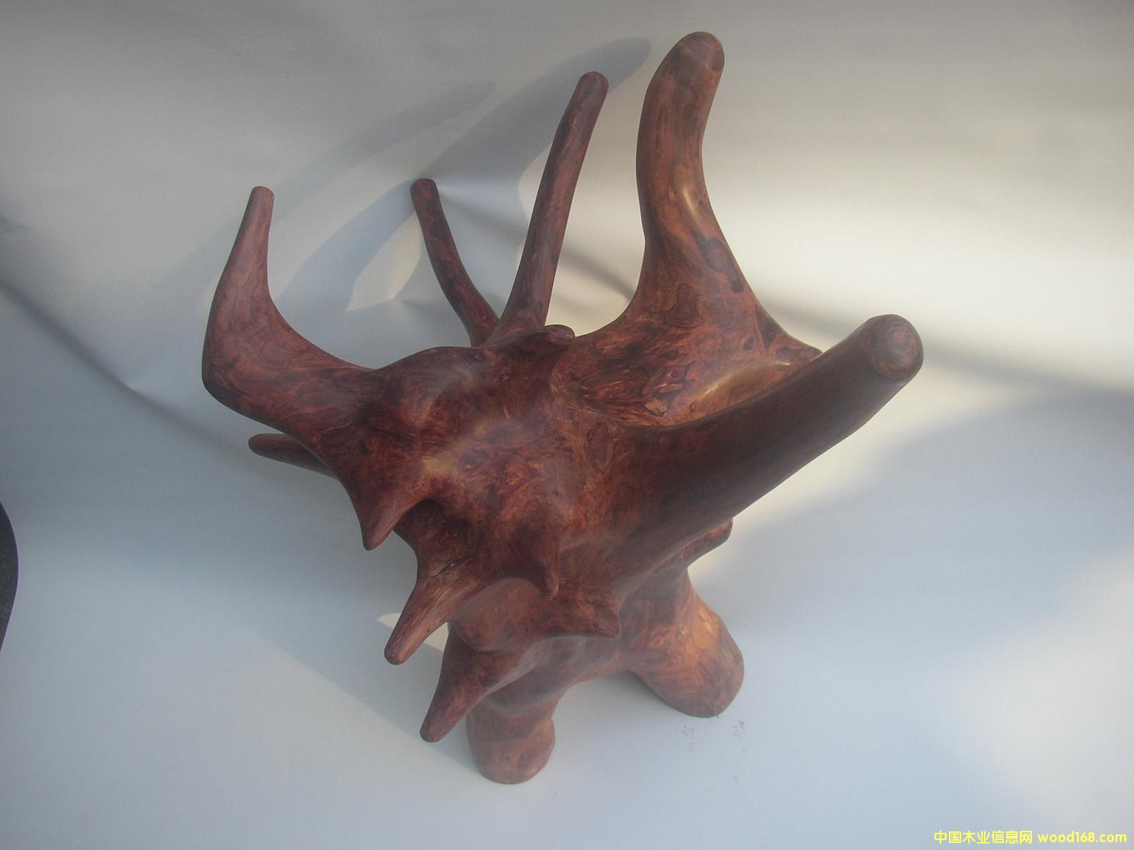 �����S�������01̖