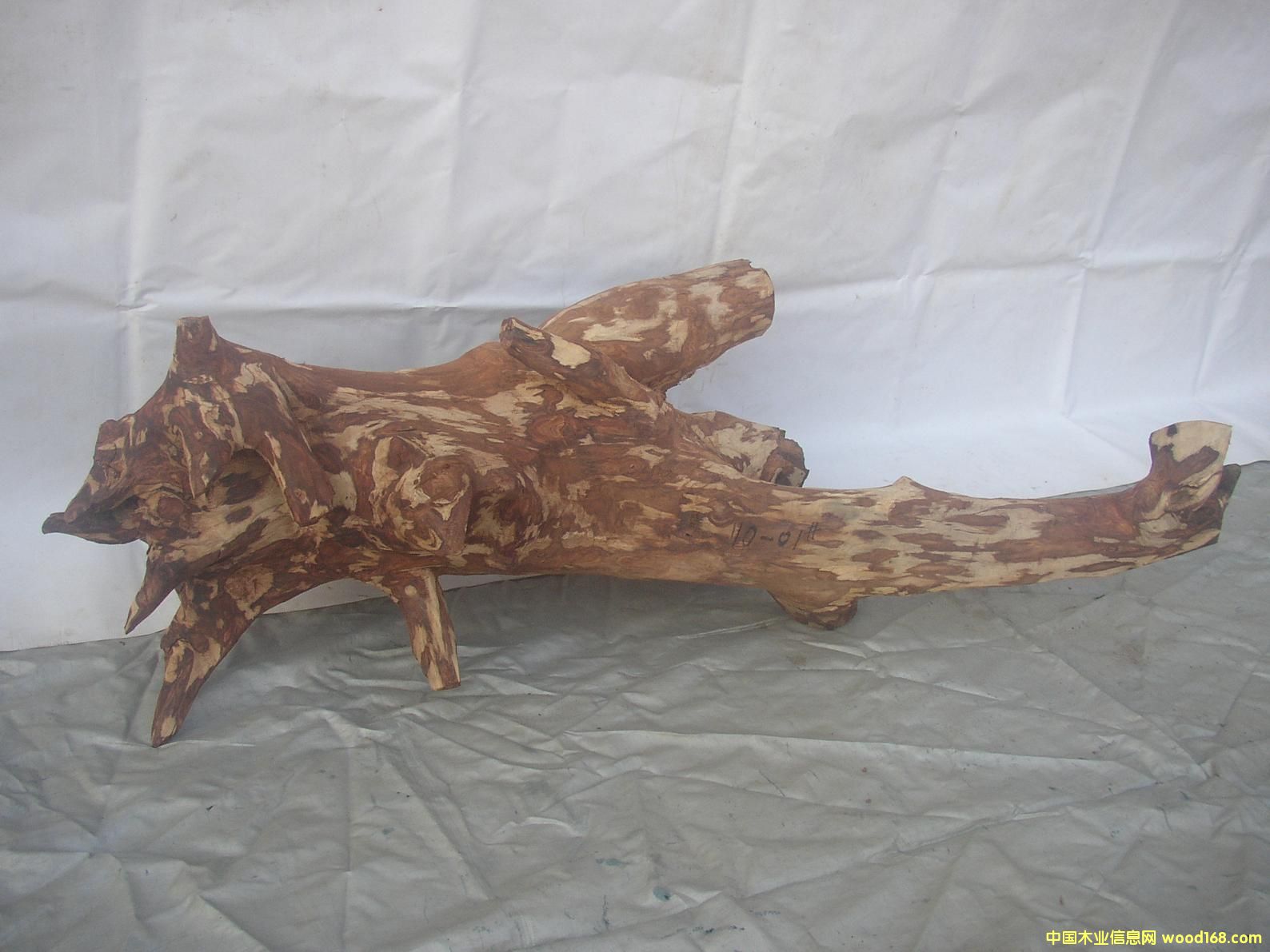 �����S����10-01̖