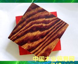 �t���Ԕ��(x��)��B