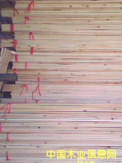 ɼľƴ�塾���Ӱ塿��Ԕ��(x��)��B