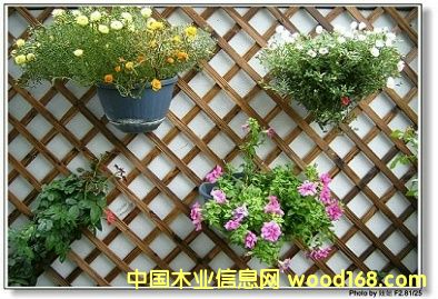 ���uͥ�@���^��Ԕ����B