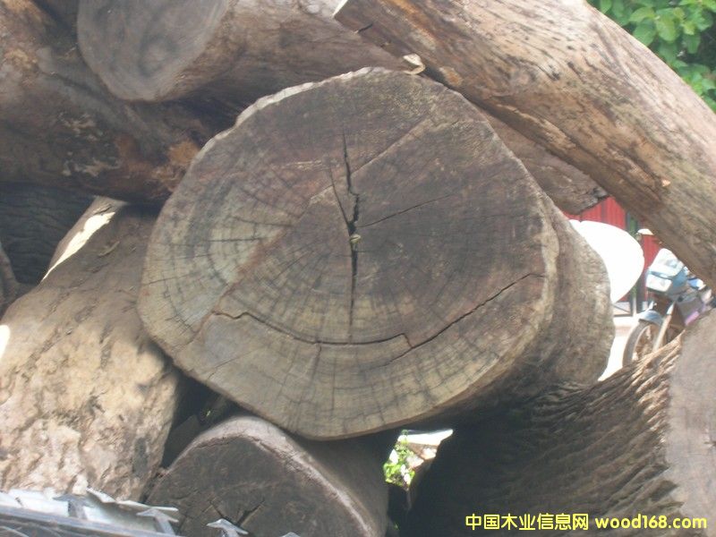 ����ľ��Ԕ��(x��)��B