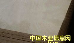 �����z�ϰ��Ԕ��(x��)��B