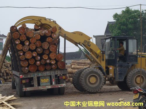 �K��ľ���Ј��ӹ��^(q��)��Ԕ��(x��)��B