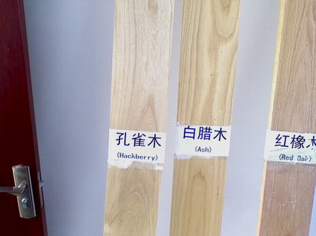 ������ľ��Ԕ��(x��)��B