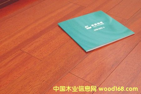 ����ľ��Ԕ��(x��)��B