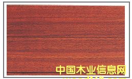 �A�P(p��n)����Ԕ��(x��)��B