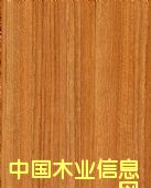 �����߼�(j��)�ͻ�壨����壩��Ԕ��(x��)��B