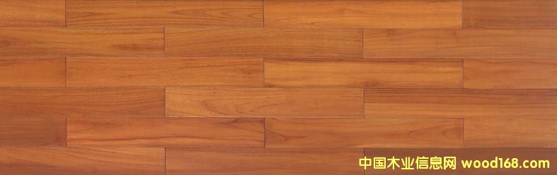 ��ľ��Ԕ��(x��)��B