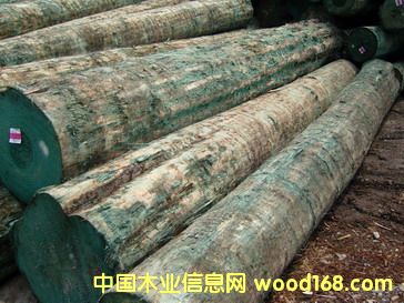 �o�Yݗ����ԭľ