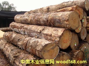 A��ݗ����ԭľ��Ԕ��(x��)��B