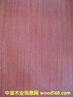 ���(y��ng)���\(ch��ng)ľ�I(y��)��Ԕ��(x��)��B