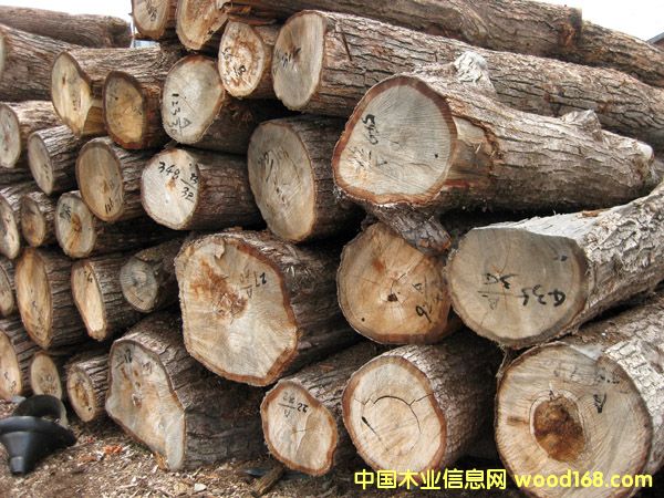 ԭľ��Ԕ����B