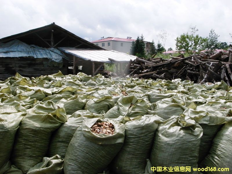 ��Ƭ��Ԕ����B