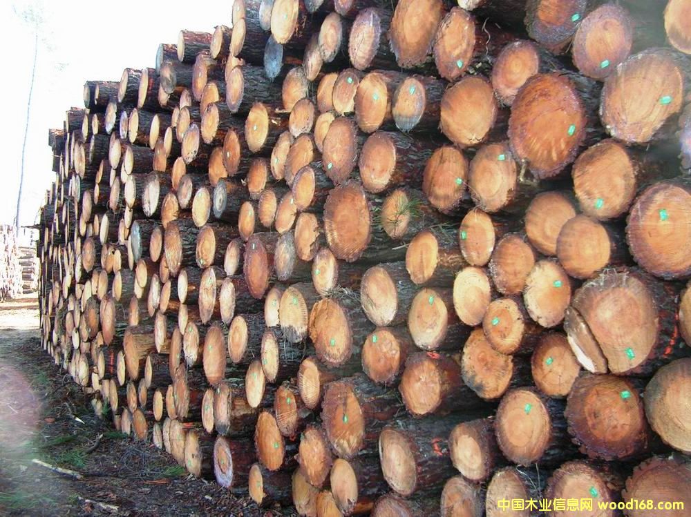 ������ԭľ��Ԕ��(x��)��B