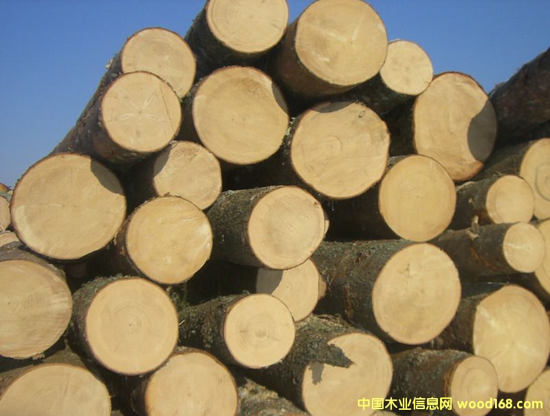 �_�R�၆��ľԭľ��Ԕ��(x��)��B