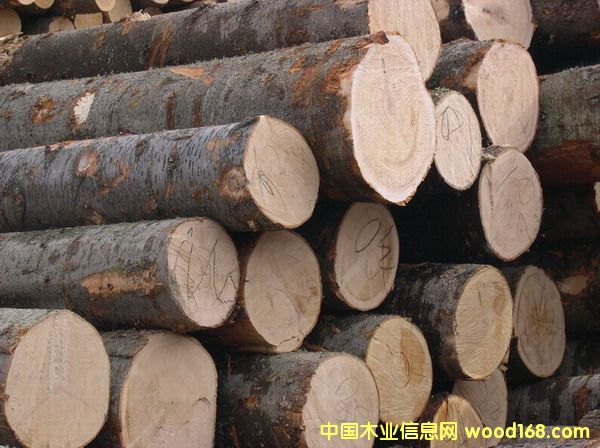 ԭľ��Ԕ����B