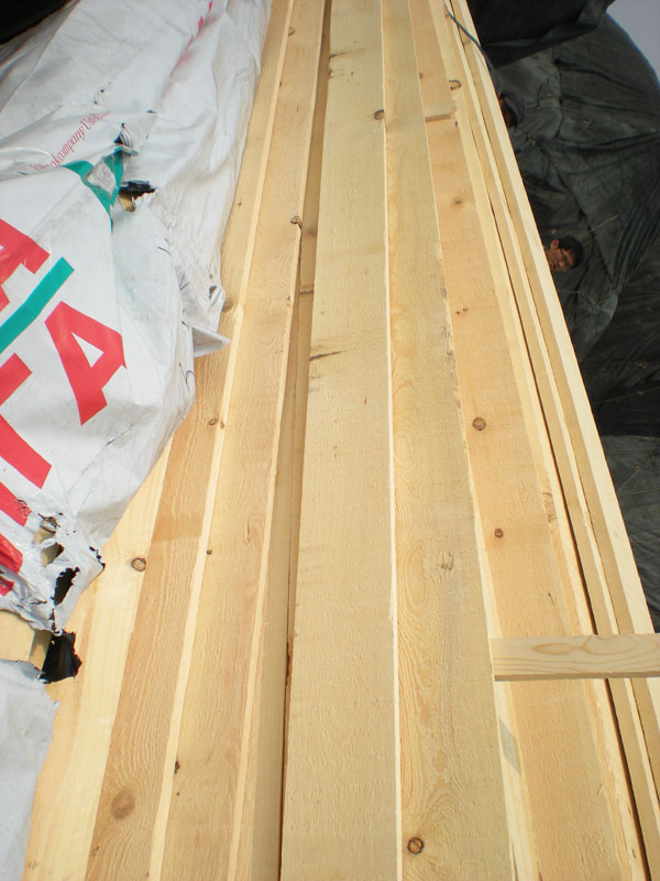 �����ɵ�Ԕ��(x��)��B