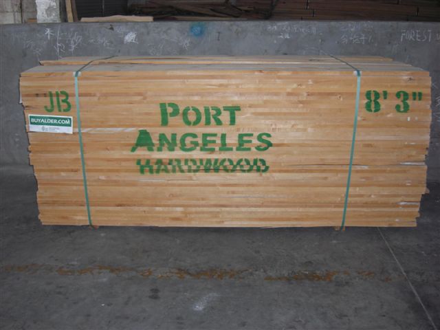 ��������ľ��Ԕ����B