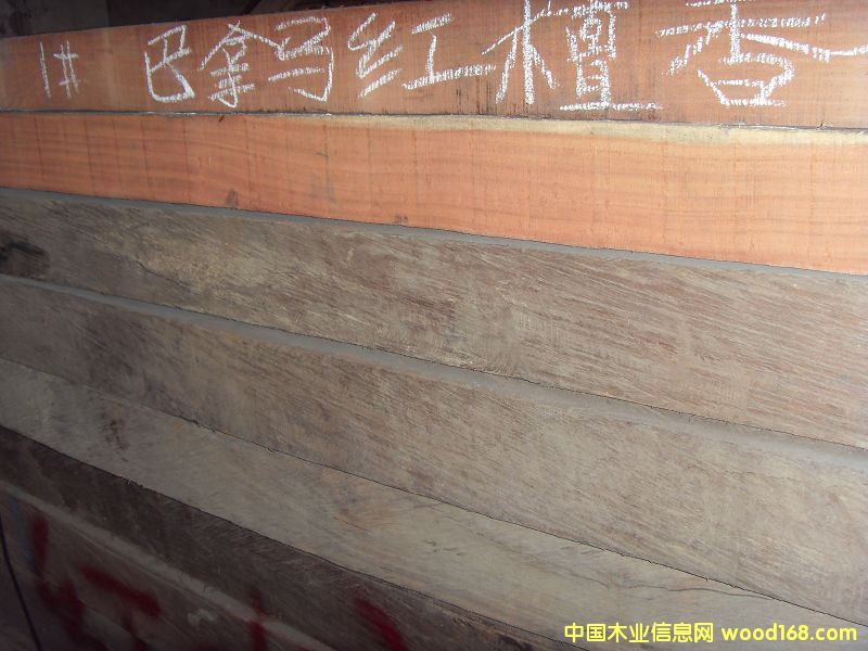 �����R�t̴��