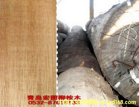 ���u�������ľ