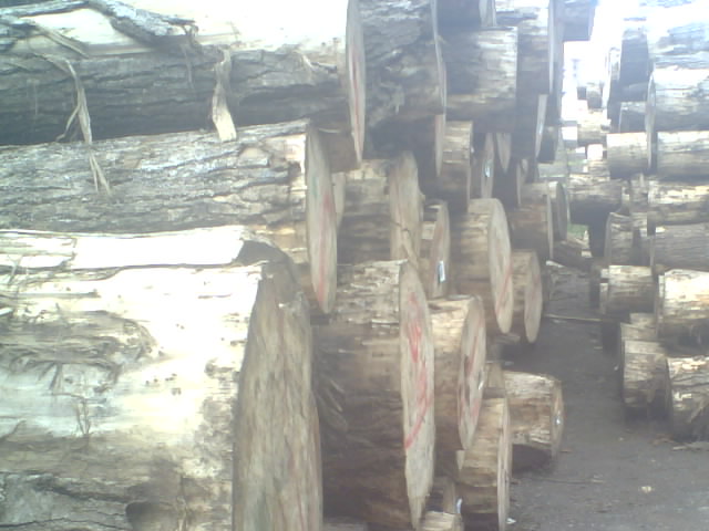 ��ľԭľ����ĵ�Ԕ��(x��)��B