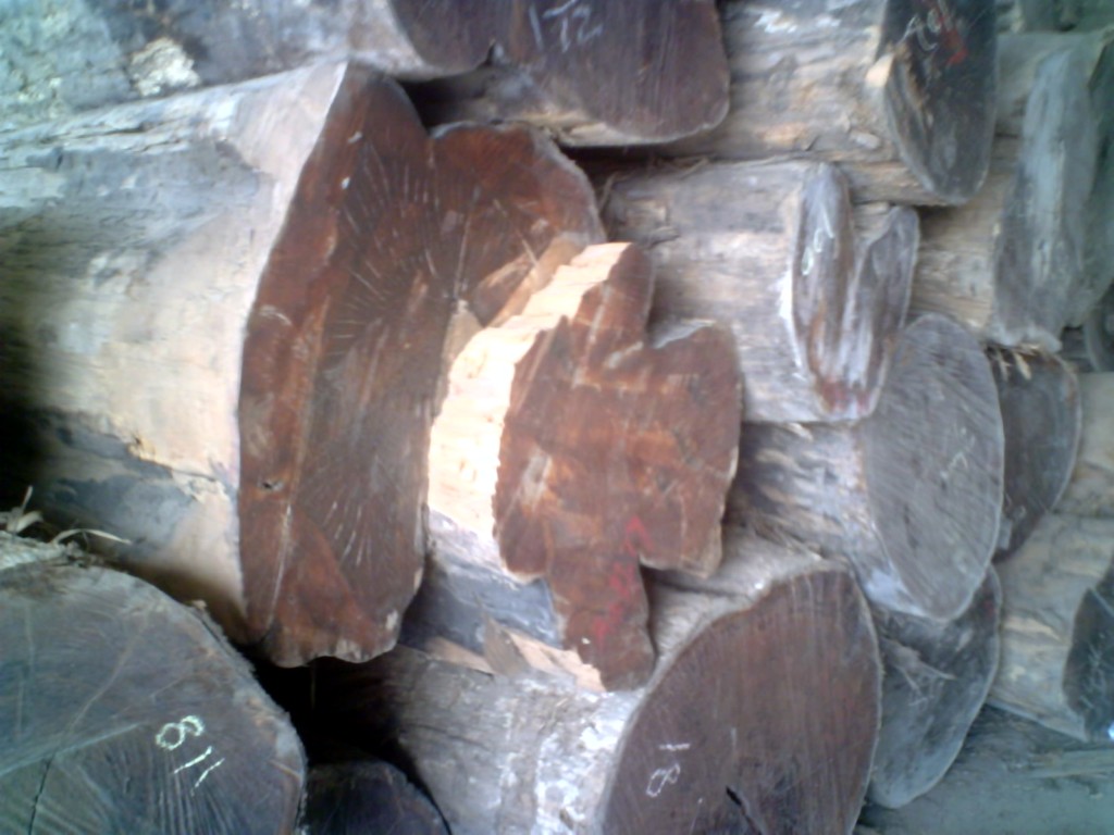 ��ľԭľ����Ĵ󷽵�Ԕ��(x��)��B