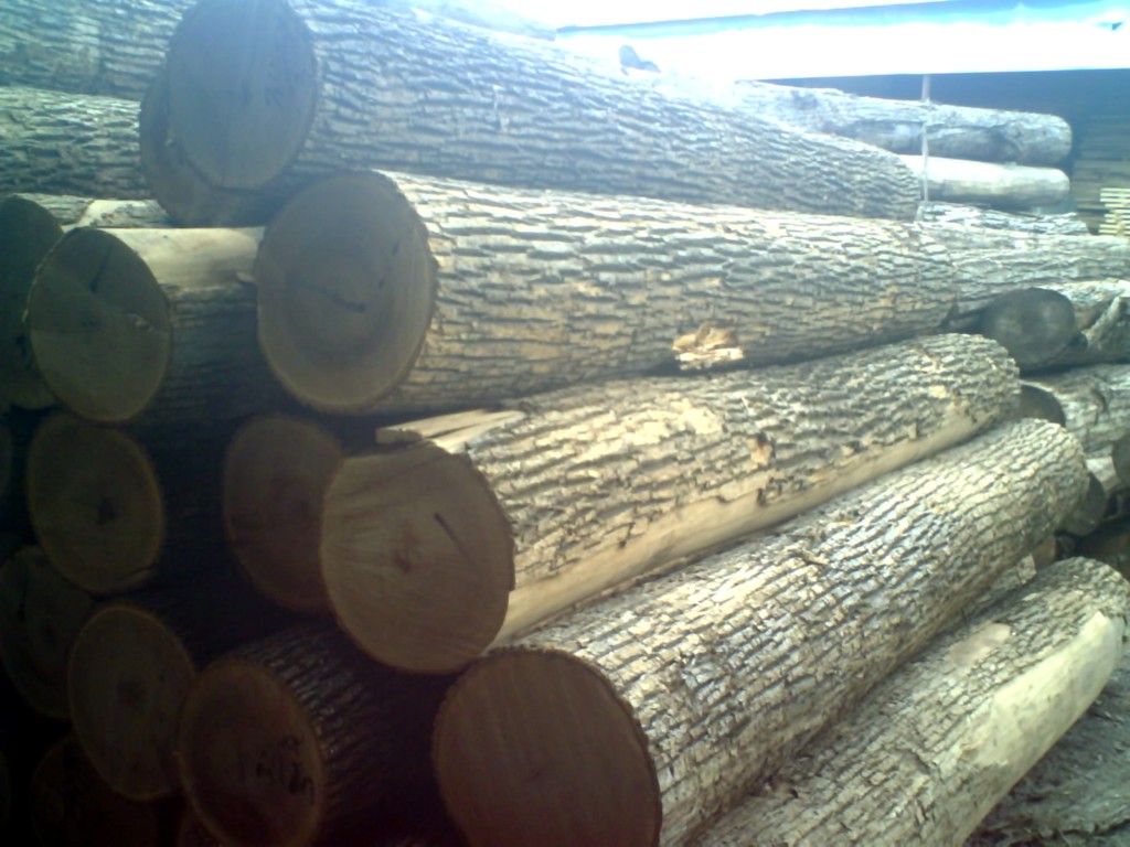 ˮ����ԭľ����ĵ�Ԕ��(x��)��B