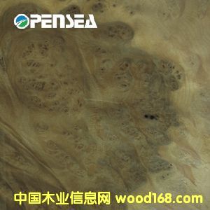 �S������(sh��)��ľƤ��Ԕ��(x��)��B