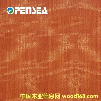 ��Ӱ������ľƤ