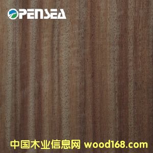 ������֦ľƤ