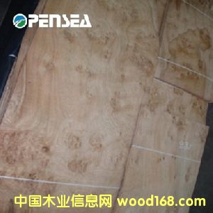 ��ľ��(sh��)��ľƤ��Ԕ��(x��)��B