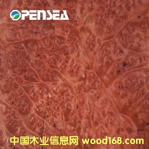 �t������(sh��)��ľƤ��Ԕ��(x��)��B