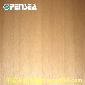 ������ľƤ