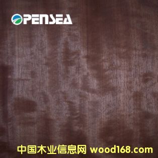 ��������ӰľƤ