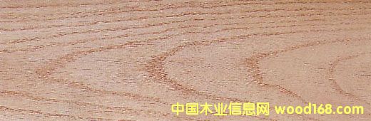 ����(gu��)�t���ĵ�Ԕ��(x��)��B