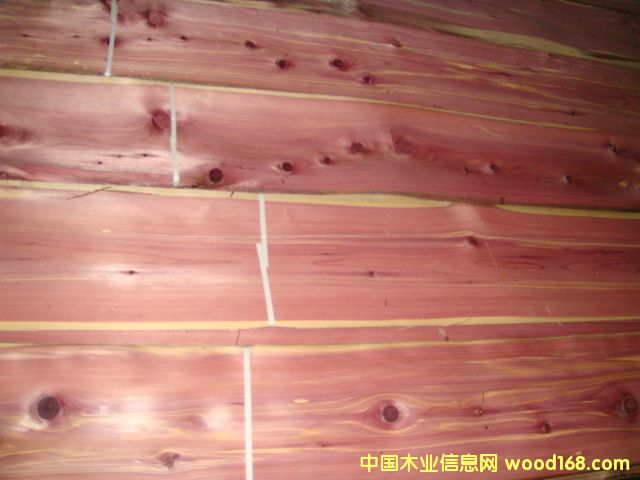 ��ɼ��Ԕ����B