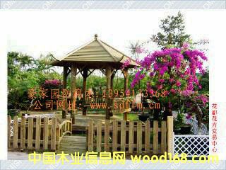 ��(j��)�Ϸ���ľ��ͤ���ܵ�Ԕ��(x��)��B