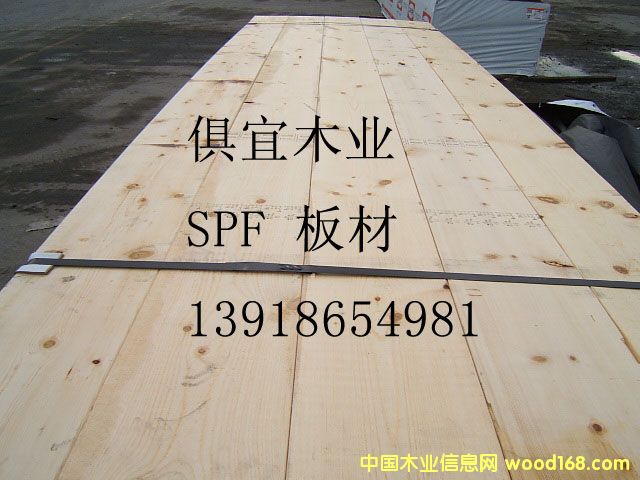 spf-�Cе����Ԕ��(x��)��B