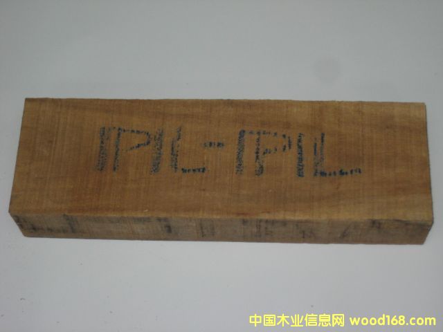 ���}��ľ��IPIL-IPIL����Ԕ����B