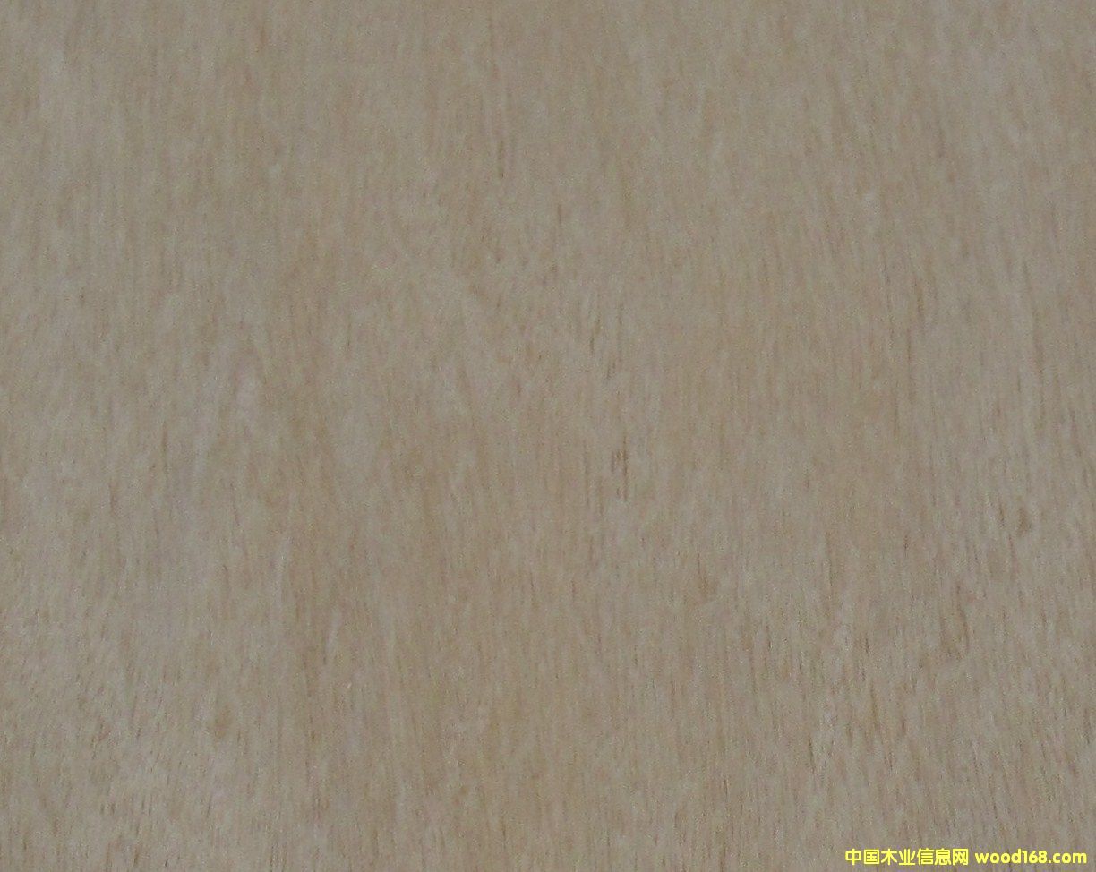 �S˨��Ԕ��(x��)��B