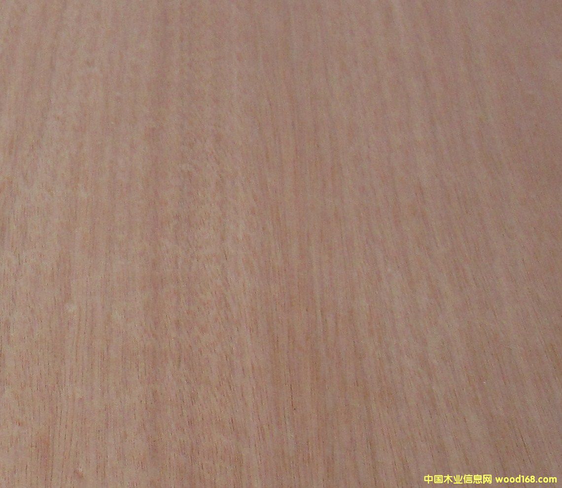 �W������Ԕ��(x��)��B