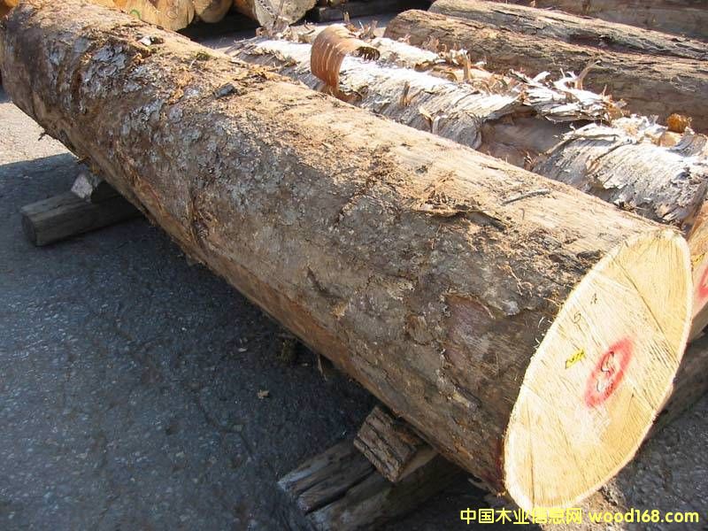 ����ԭľ��Ԕ��(x��)��B