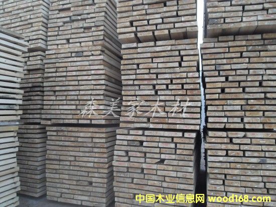 ��������ľ��Ԕ��(x��)��B