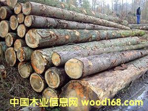 ����ľ�ĵ�Ԕ��(x��)��B